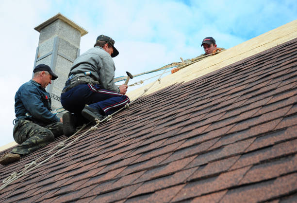 Best Roof Leak Repair  in Hot Springs Village, AR